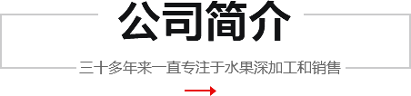 公司簡介